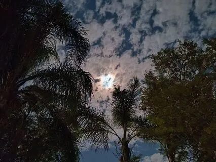 A Meditation To Support Your Nervous System