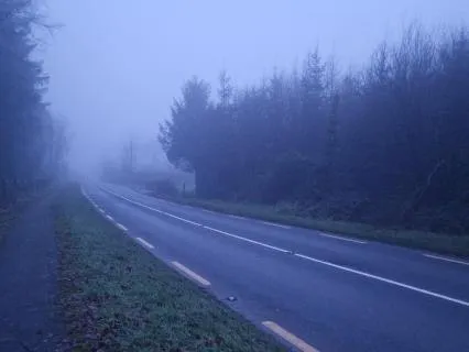 A Meditation With Fog For Uncertain Moments