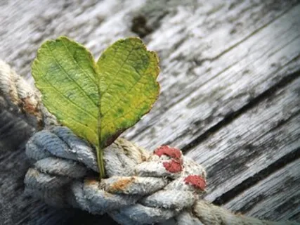 A Meditative Exercise For Releasing Toxic Relationships