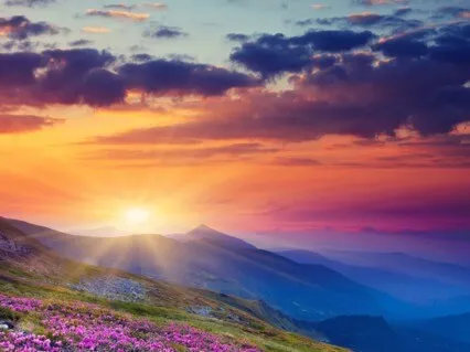 A Meditative Mind Sees The Danger Of Thoughts, It Acts