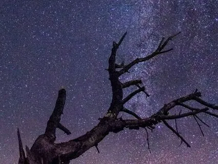 A Meditative Moment: Alone With The Stars