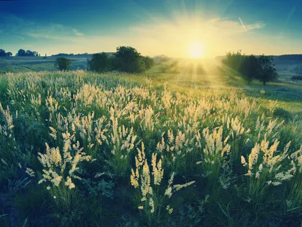 A Meditative Moment - Relaxation 