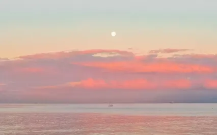 a Meditative Moment - Spring Is Here!