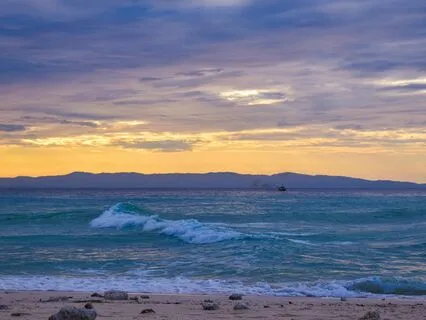 A Meditative Morning Daydream