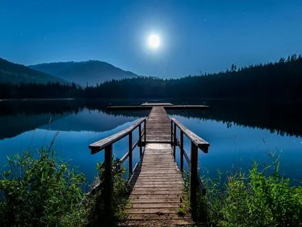 A Meditative Respite From The News Of The Day