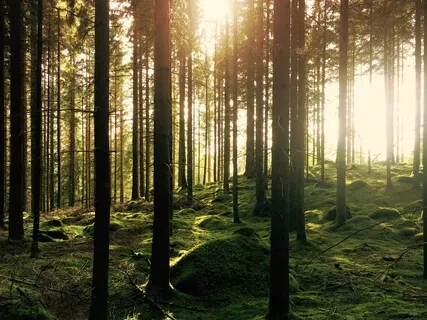 A Meditative Story For The Soul