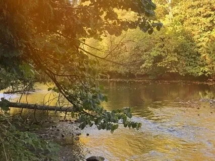 A Meditative Story Of Being