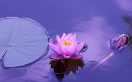 A Message For Awakening Souls : A New Earth