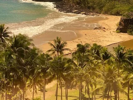 A Message From Mother Earth