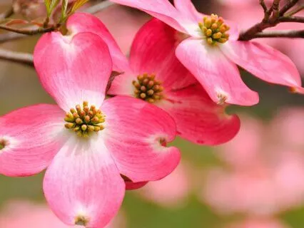 A Message From Spirit: Speak Your Truth