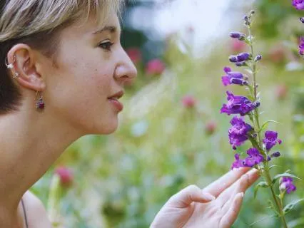 A Message From The Golden Butterfly: A Guided Journey