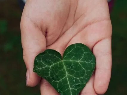 A Message From Your Guides You Want To Hear