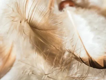 A Message Is Waiting For You - Guided Angel Meditation