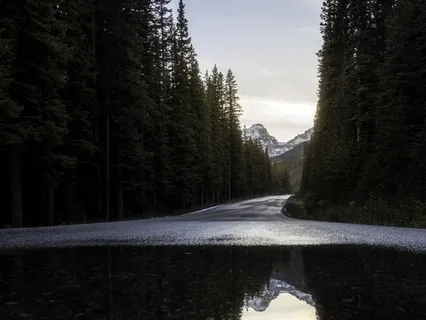 A Mid-Winter Walk In The Snow At Twilight
