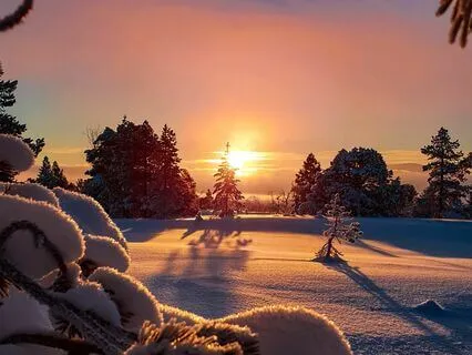 A Midwinter Solstice Wish