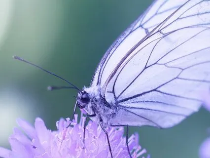 A Million Stories: A Love Poem