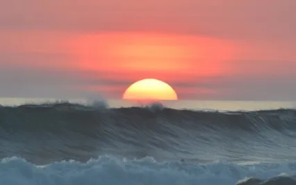 A Mind Free Of Me Is In Order