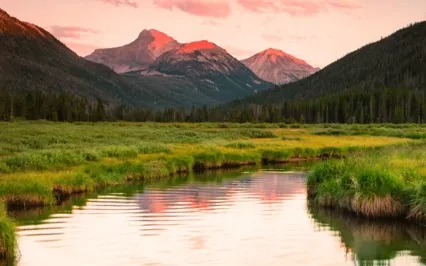 A Mind In Trust Stays Unknown, Not Who Trusts Whom