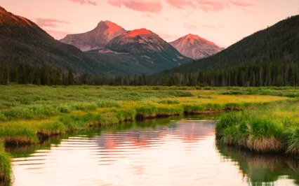 A Mind Living At Present Is Living In Trust