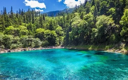 A Mind Living In Disorder Puts Everything In Crisis