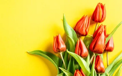 A Mind That Depends Inevitably Gets Hurt