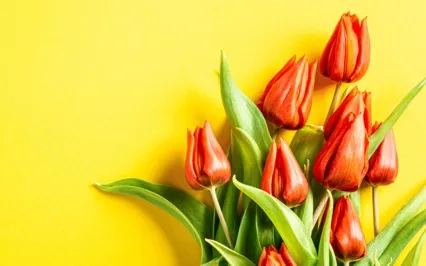 A Mind That Does Not Depend Has No Self-Deception