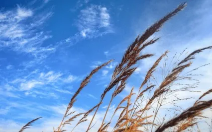 A Mind That Seeks Security Does Not Feel Secure, It's A Trap