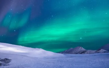 A Mind That Stands Alone & Observes Comes Upon What Is Order