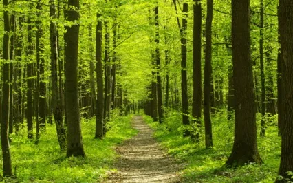 A Mind Trapped In Time Misses This Timeless Moment