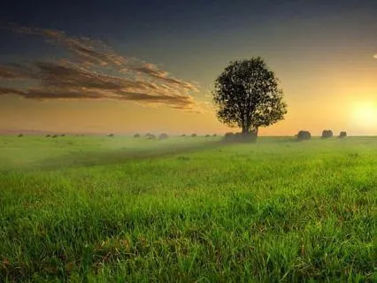 A Mindful And Motivational Meditation For The New Year