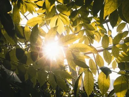 A Mindful Check-In: Body, Heart And Mind
