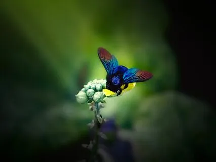 Humility - A Mindful Jewish Moment