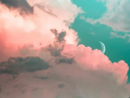 A Mindful Looking Practice