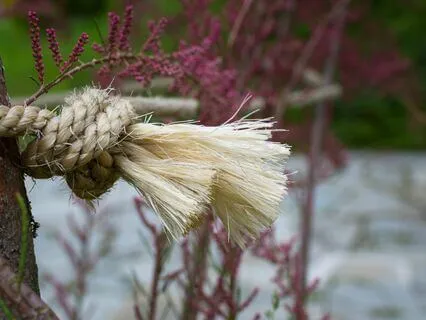 Cohesion - A Mindful Moment