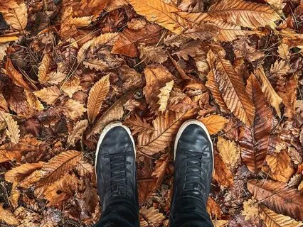 A Mindful Pause For Fall