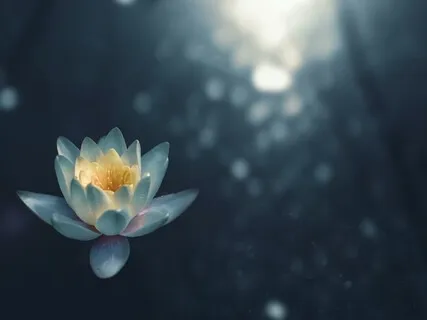 A Mindful Sleep Meditation For Self Care