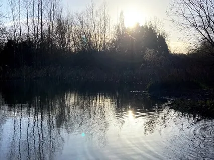 A Mindful Tech-Break For Tired Eyes