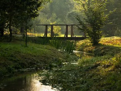 A Mindful Walk In A Monastery Garden