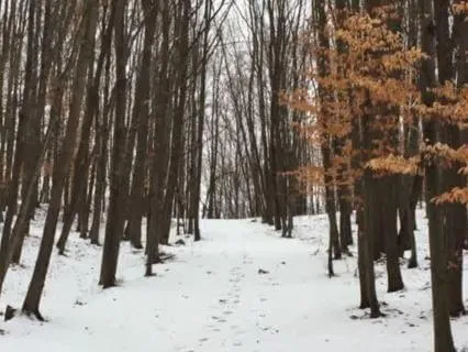 A Mindful Winter Walk To Ground Your Body And Mind