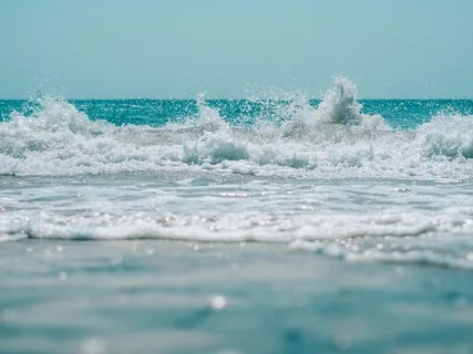 A Mindfulness Love Meditation 