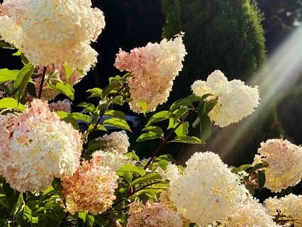 A Mindfulness Reflection On The Power Of Now