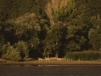 A Minute In The Morning: Now Is Forever