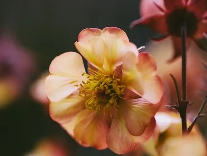 A Minute To Meditate: For Support