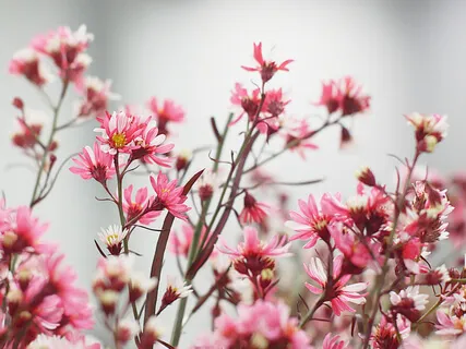 A Minute To Meditate: Recognize Your Value