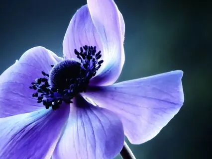 A Mirror Work Meditation - Seeing Yourself With Soft Eyes