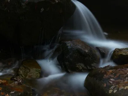 A Moment By The Stream