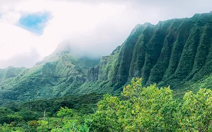 A Moment For Feeling Blah