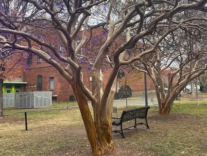 A Moment For Mindfulness -When You Don't Think You Have Time