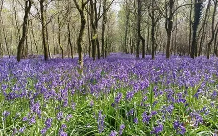 A Moment For Yourself 