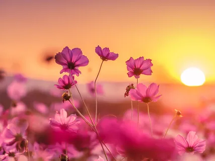 A Moment In Gratitude